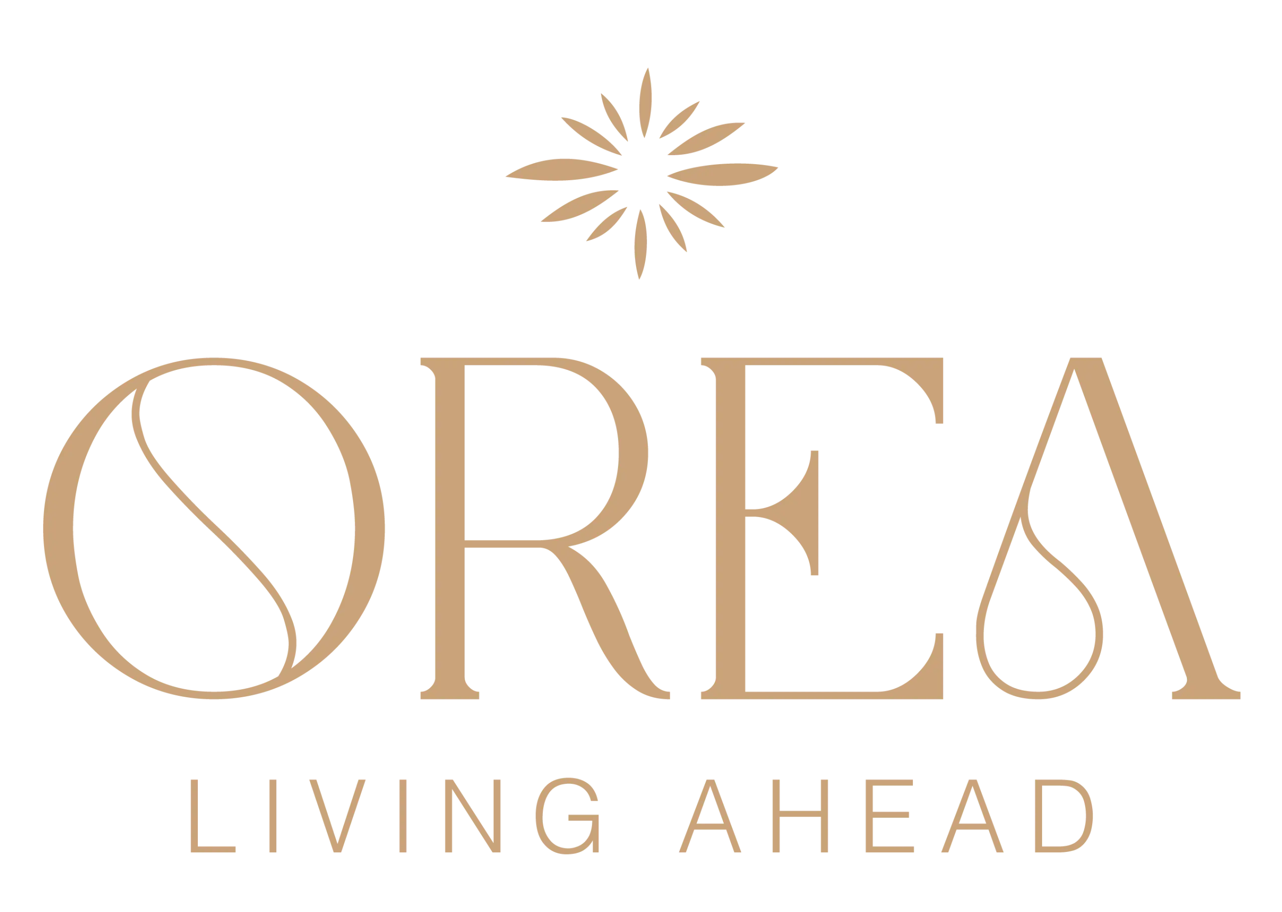 logotype
